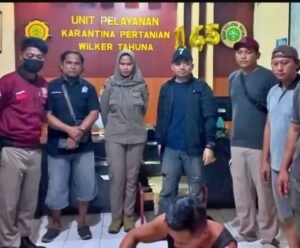 TIM SFQR LANAL TAHUNA GAGALKAN PENGIRIMAN 14 EKOR AYAM ILEGAL