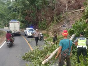 Sat Lantas Polres Pesisir Barat Terjun Langsung Membersihkan Pohon Tumbang