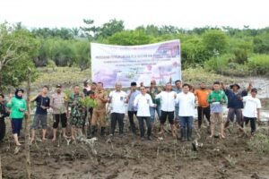 PT PLN Indonesia Power Pangkalan Susu Tanam 3000 Bibit Mangrove Di Gebang Langkat