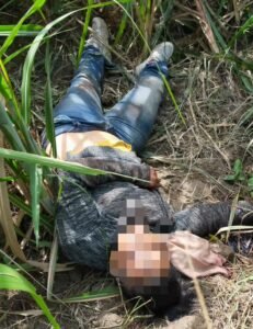 Penemuan Mayat Di Perkebunan Tebu Tandam Hilir, Diduga Korban Pembunuhan.