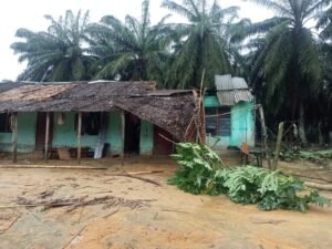 Bencana Alam Angin Puting Beliung Rusakkan Rumah Ibadah Dan Pemukiman Penduduk