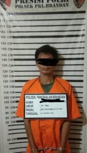 Polsek Pangkalan Brandan Tangkap dan Amankan Pelaku Pencurian
