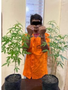 Sat Narkoba Polres Langkat Amankan Pelaku Penyalahgunaan Narkotika Jenis Tanaman Ganja