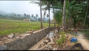 Masyarakat Desa Penengahan Sangat Terbantu, Mendapatkan Perbaikan Pembagunan Irigasi.