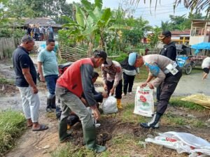 Antisipasi Banjir Meluas Kepemukiman Warga, Polres Langkat Polsek Tanjung Pura Bantu Warga Membuat Tanggul.