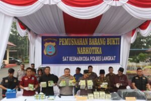 Polres Langkat Musnahkan Barang Bukti Narkoba Jenis Sabu Dan Ganja
