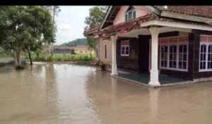 Warga Desa Penengahan Keluhkan Langanan Banjir Di Dusun (06), Diduga Pembagunan Gorong – Gorong Tidak Maksimal.