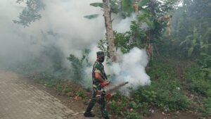 Cegah Penyakit Demam Berdarah, Babinsa Koramil Garum Laksanakan Penyemprotan Fogging Di Wilayah Binaannya