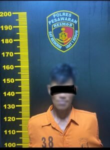 Aksi Bejat Paman Kandung, Pelaku Pencabulan Anak Dibawah Umur Di Ringkus Satreskrim Polres Pesawaran