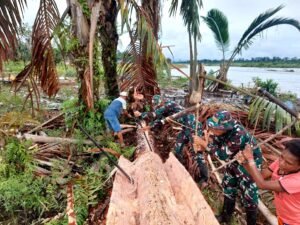 Panen Sagu Bersama Menambah Kedekatan Personel Satgas Yonif 125/SMB Dengan Masyarakat