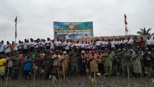 Tanam 10.000 Bibit Mangrove, Satgas Yonif 125/SMB Bersama Rakyat Bersatu Dengan Alam Untuk NKRI