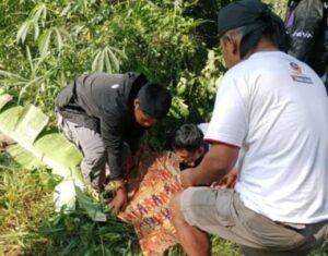 Di Duga Alami Rem Blong Dua Remaja Asal Krui Masuk Jurang Satu Orang MeningguMinggu, 19 Mei 2024