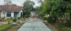 Pekon Purwodadi Tingkatkan Infrastruktur dan Pertanian dengan Dana Desa 2024