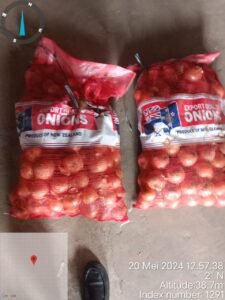 Tanggapan Bea Cukai Ketapang,Di Bebaskan Truk Ekspedisi Membawa Bawang Bombai Diduga Ilegal.