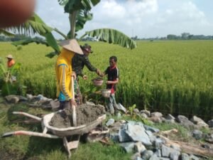 Bangun Talud, Aktifkan Saluran Irigasi Desa