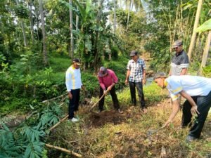 Kegiatan Dalam Rangka Hari Lahirnya Pancasila, Desa Tanjung Agung Melaksanakan 1.500 Penanaman Pohon.