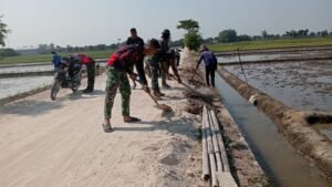 Kejar Target finishing, Berm Rabat Beton Jalan di Dk. Pabrik, Desa Wirun Terus diLakukan Pengurugan