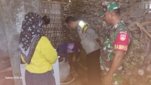 Pemberantasan Sarang Nyamuk Aedes Aegypti Guna Cegah Demam Berdarah