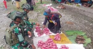 Borong Hasil Tani, Pasukan Baret Ungu Koops Habema Bantu Ekonomi Rakyat