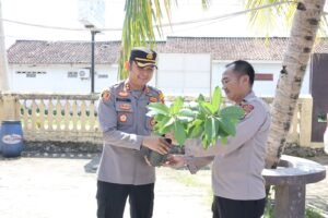 Polres Pesisir Barat Gelar Penanaman 100 Pohon Alpukat Untuk Peringati HUT Bhayangkara ke-78