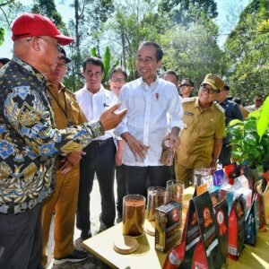 Ketua Dewan Kopi Indonesia (DEKOPI) Provinsi Lampung Mukhlis Basri (MB) Menjelaskan Terkait Kopi Robusta