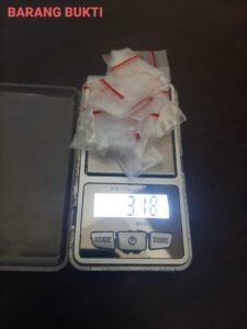 Penangkapan MS Oleh Sat Narkoba Polres Langkat: 18 Klip Diduga Berisi Sabu Diamankan