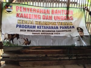 Kepala Desa Mekar Jaya Klarifikasi Di Tuding Korupsi Bantuan Pengadaan Bibit Hewani