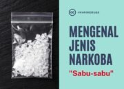 Seorang Pengedar Narkotika Jenis Sabu Sabu Dibekuk Sat Narkoba Polres Kampar