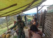 Habema’s Rosita Helped The Economy Of Amuleme Residents