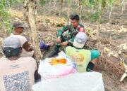 Soal Ketahanan Pangan,Babinsa Juwangi Juga Motivasi Kepada Petani Jagung