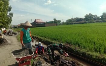 Bersama Membangun Talud Irigasi Sebuah Tindakan Nyata untuk Masa Depan Petani yang Lebih Baik