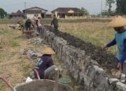 Babinsa Bersama Warga Bangun Talud Irigasi