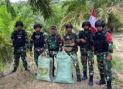 Satgas Pamtas Yonarmed 11 Kostrad Gagalkan Penyelundupan Ball Press di Perbatasan Sebatik