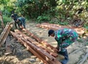 42 Batang Kayu Hasil Ilegal Logging Berhasil Diamankan Satgas Yonkav 12/BC di Perbatasan RI-Mly