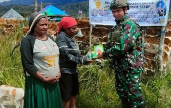 Tingkatkan Produktivitas Lahan Kosong, Satgas Yonif 323 TK Eromaga Berikan Bibit Sayuran