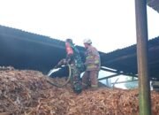 Gerak Cepat, Babinsa Desa Kebonagung Bantu Padamkan Kebakaran Gudang Sepah Tebu
