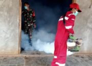Babinsa Nogosari Turut Basmi Sarang Nyamuk DBD