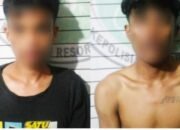 Tim Spider Polres Solok , Meringkus Dua Pemuda Pemilik Daun Ganja .