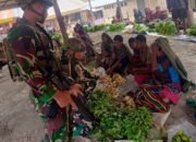 Rosita Buaya Putih, Bantu Ekonomi Masyarakat Sinak