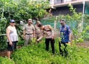 Dukung Program Ketahanan Pangan, Bhabinkamtibmas Kota Bambu Selatan bersama 3 Pilar Tinjau Tinjau Lahan Warga