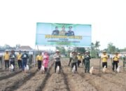 Wujudkan Ketahanan Pangan Mandiri, Polres Blitar Kota Bersama Masyarakat Tanam Jagung Di Lahan Aset Polri