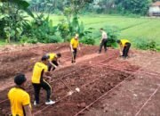Dukungan Program Ketahan Pangan Nasional, Polsek Plered Buka Lahan Kosong Untuk Bercocok Tanam