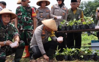 Dukung Program Nasional, Polres Metro Jakarta Barat Bersama Forkopimko Tanam Bibit di Lahan Ketahanan Pangan Joglo