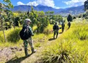 Satgas Mobile Yonif 323 Buaya Putih Kostrad Lumpuhkan 2 OPM di Distrik Sinak