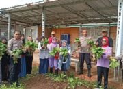 Sinergi Polri dan Warga: Polsek Kalideres Panen Perdana Tanaman Bayam dan Ceisim di Semanan