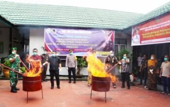 Barang Bukti Tindak Pidana Narkotika di Musnahkan Kejari Padang Panjang .