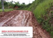 Kepala Desa Cicadas Merasa Kecewa Berkomitmen Dengan PT PLN Persero