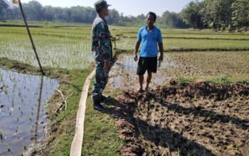 Babinsa Klego Ajak Petani Desa Karangmojo Untuk Percepat Masa Tanam