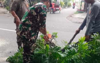 Babinsa Kemlayan Bersama Petugas Kebersihan, Linmas Kerja Bakti Pangkas Ranting Pohon