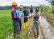 Babinsa Nogosari Bantu Optimalkan Saluran Irigasi Untuk Petani